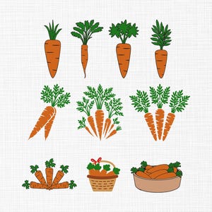 Pode incluir: Ilustrações de cenouras laranja com folhas verdes. Algumas são individuais, outras em grupos, e algumas estão numa cesta ou tigela. As imagens são simples e em estilo cartoon, sobre um fundo branco.