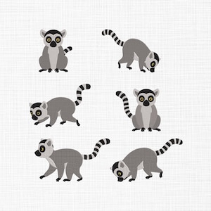 Può includere: Sei illustrazioni di lemuri dei cartoni animati in varie pose. I lemuri sono principalmente grigi con code a strisce bianche e nere, zampe nere e distintivi segni facciali in bianco e nero. Lo sfondo è bianco strutturato.