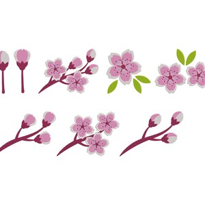 May include: A collection of pink cherry blossom illustrations. The image features various stages of the blossoms, from buds to fully bloomed flowers, with green leaves and dark red stems. The blossoms have white outlines.