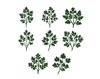 Parsley Leaves Embroidery Design, Herbs Parsley Embroidery Design, Organic Food Labels Machine Embroidery Design Files, 6 Sizes