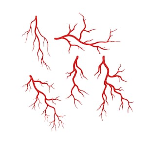May include: A collection of five red, branching vein illustrations on a white background. The illustrations vary in size and shape, depicting a network of blood vessels. The design is simple and graphic.
