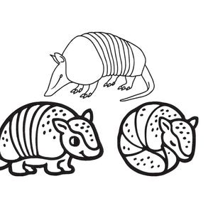 Puede incluir: Ilustraciones en blanco y negro de armadillos en varias poses. Un armadillo está de pie, otro está acurrucado y un tercero está caminando. Las ilustraciones son simples y de estilo caricaturesco.