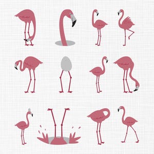 Desenho de bordado de flamingo, pacote de desenhos de bordado de flamingo, lindo bordado de flamingo, arquivos de bordado à máquina de animais, tamanhos 6 e 5