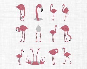 Flamingo Embroidery Design, Flamingo Bundle Embroidery Design, Pretty Flamingo Embroidery, Animal Machine Embroidery Design Files, 6,5 Sizes