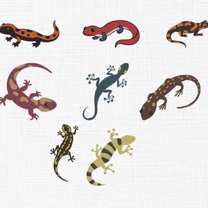 May include: Seven cartoon salamanders in a variety of colours, including orange, red, and green, are displayed on a white background. The salamanders have detailed features and are in different poses, creating a playful and whimsical design.