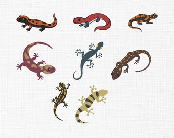 Lizards and Salamanders Embroidery Design, Lizard Embroidery Design, Salamander and Lizard Reptile Set Machine Embroidery Files, 5 Sizes