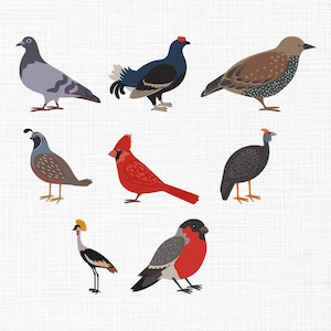 May include: A collection of eight illustrated birds in various colors and poses. The birds include a gray pigeon, a black grouse with a red crest, a brown bird with dotted wings, a quail, a red cardinal, a black guinea fowl, a crowned crane, and a red-breasted bird.