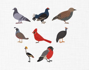 Birds Bundle Embroidery Design, Bird Embroidery, Pigeon, Black Grouse, Quail, Northern Cardinal, Guineafowl,Crowned Crane Design, 5 Sizes