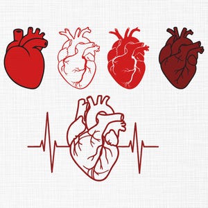 Könnte beinhalten: Eine Illustration mit fünf stilisierten Herzen in Rot- und Brauntönen. Ein Herz ist einfarbig rot, während andere umrandet oder schattiert sind. Eine Herzgrafik wird mit einer Herzschlaglinie kombiniert.