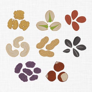 May include: An illustration of various nuts and dried fruits. The image includes walnuts, pistachios, almonds, cashews, peanuts, sunflower seeds, raisins, and hazelnuts. The nuts and fruits are in a variety of colors, including brown, green, and purple.