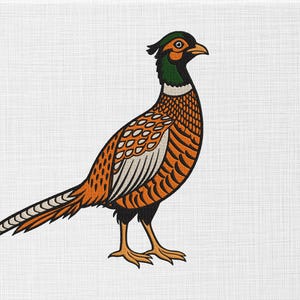 May include: A detailed illustration of a pheasant with orange, black, white, and green coloring. The bird is standing on two yellow legs, with its head turned to the right. The background is a plain white.