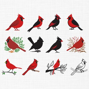 May include: A collection of cardinal bird illustrations in various poses and styles. The birds are primarily red and black, with some featuring branches and foliage. The designs range from detailed to minimalist.