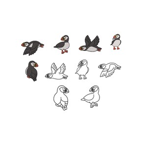 Könnte beinhalten: Eine Sammlung von Puffin-Illustrationen in verschiedenen Posen. Einige Papageientaucher sind mit schwarzen, weißen und orangefarbenen Details koloriert, während andere schwarz umrandet sind. Die Papageientaucher werden stehend, fliegend und im Profil dargestellt.