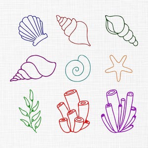 Op de afbeelding: Negen kleurrijke lijntekeningen van zeeleven, waaronder schelpen, een zeester, zeewier en koraal. De illustraties zijn in tinten blauw, rood, groen, paars en oranje, tegen een witte achtergrond.