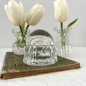 Può includere: Una zuccheriera di vetro trasparente con coperchio a cupola e un cucchiaino. La ciotola è appoggiata su un libro d'epoca con tulipani bianchi in piccoli vasi di vetro sullo sfondo. La zuccheriera ha un design strutturato.