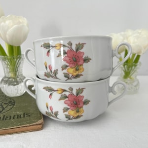 Può includere: Due zuppiere in ceramica bianca sovrapposte. Ogni zuppiera presenta un motivo floreale con accenti rosa, gialli e verdi. Le zuppiere hanno manici curvi. Lo sfondo presenta fiori in vasi.