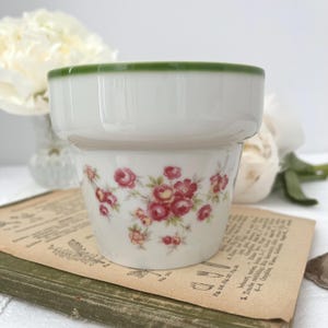 Könnte beinhalten: Weißer Keramik-Blumentopf mit grünem Rand. Der Topf ist mit einem Muster aus rosa Rosen und grünen Blättern verziert. Der Topf steht auf einem alten Buch.