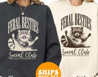 Sudadera divertida para mejores amigas, sudadera con capucha a juego para mejores amigas, jersey BFF, regalo para mejores amigas, sudadera de amistad