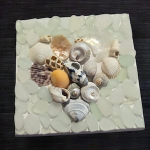May include: Square decorative piece with seashells and sea glass. The seashells are in various shapes and colours, including white, tan, and brown. The sea glass is light green and surrounds the seashells, creating a coastal theme.