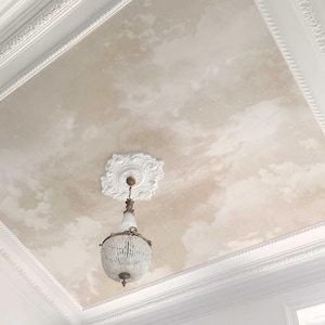 Peut inclure: Une peinture murale de plafond représentant un ciel nuageux dans des tons beige et blanc avec de subtiles taches étoilées. Un lustre en cristal est suspendu à une rosace en plâtre blanc, entouré de moulures blanches en cadre rectangulaire.