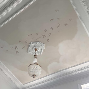 Beige Sky Wallpaper with Birds – Neutral Swallow Design for Ceiling or Wall – Cloud Print Peel & Stick Wallpaper, 7-145 color 1