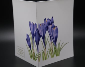 Purple Crocuses - Note Card