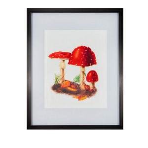 Red Mushrooms Amanita Muscaria Watercolor Painting - Etsy
