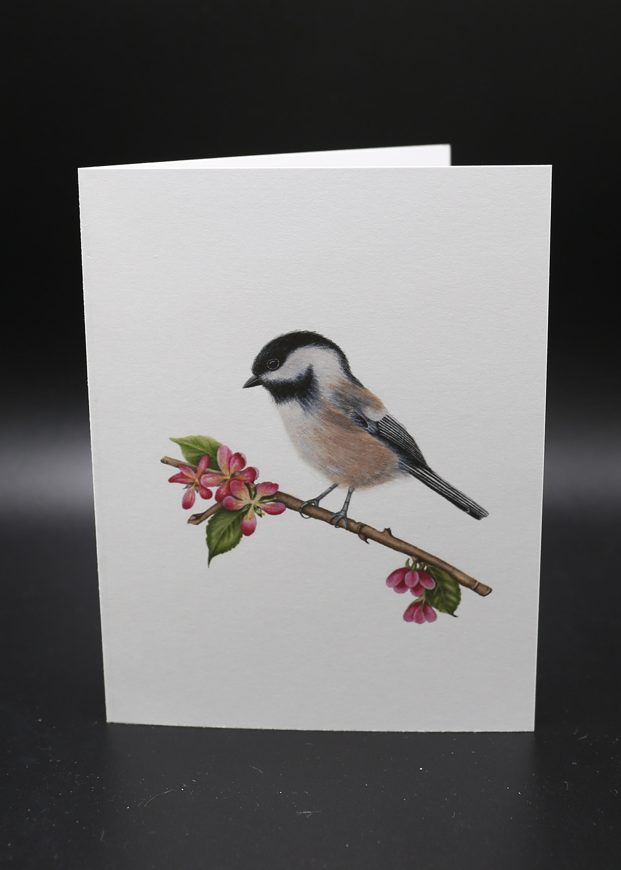 Blackcapped Chickadee Watercolor Etsy