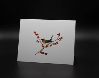 Cedar Waxwing - Note Card