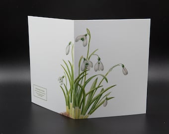 Snowdrops - Note Card