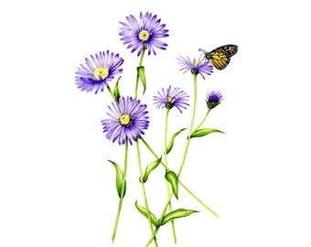 Delicate Blue Asters with Butterfly - Watercolor Painting
