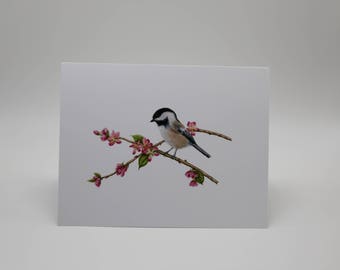 Black Capped Chickadee - Note Card