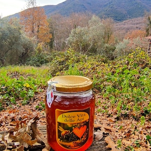 May include: A jar of honey with a gold lid and a label that reads "Dolce Vita delle Api." The honey is a rich amber color. The jar is sitting on a wooden surface with fallen leaves in the foreground. The background features a mountain range and trees.