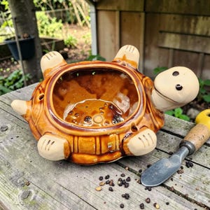Puede incluir: Una maceta de cerámica con forma de tortuga en tonos marrones y beige. La maceta tiene una gran abertura para las plantas y está rodeada por la cabeza, las patas y la cola de la tortuga. Una pequeña paleta de jardinería descansa junto a la maceta sobre una superficie de madera.