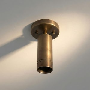 May include: A bronze-colored, cylindrical ceiling light fixture. The fixture has a circular base with two small screws and a cylindrical body with a slightly flared opening. The light is designed to be mounted on a ceiling.