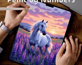 Wild Horse | Paint by Numbers Pages | Kids Adventure PDF | Printable Pages | 3 Levels