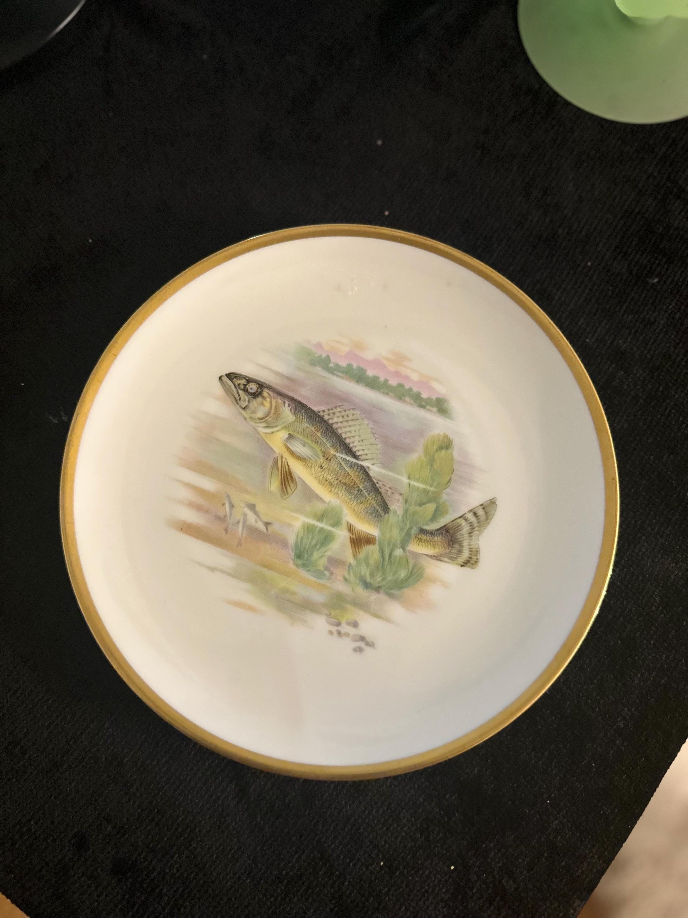 Hutschenreuther - Etsy