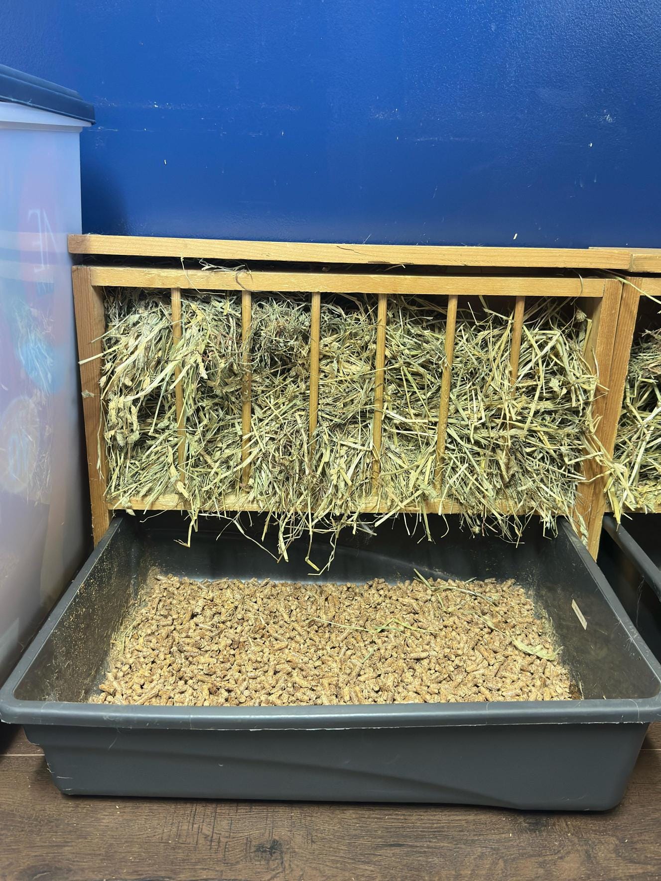 Wooden Rabbit Hay Feeder - Etsy