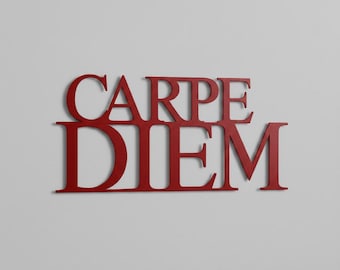 Carpe Diem Metal Wall Decor - Modern Inspirational Quote Art - Large Minimalist Home Sign