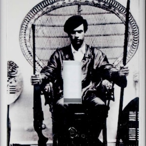 Huey In Chair Switchplate