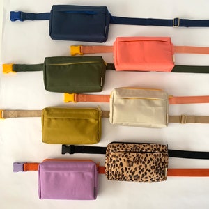 Dog Walking Fanny Pack / Treat Pouch