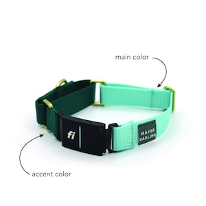 May include: A two-tone dog collar with a dark green and mint green design. The collar has gold-colored metal hardware and a black rectangular component with the text "fi". The text "MAJOR DARLING" is printed on a black label.
