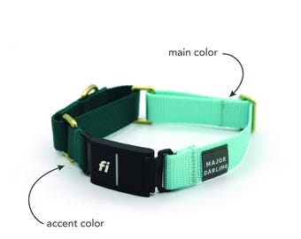 Custom Series 3 (THREE) / 3+ (THREE PLUS) Fi Compatible Martingale Collar