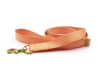 dog leash / nylon + brass hardware