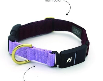 Custom Series 3 (THREE) / 3+ (THREE PLUS) Fi Compatible Snap Collar