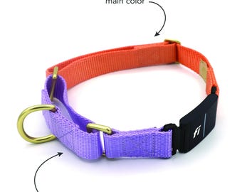 Custom Series 3 (THREE) / 3+ (THREE PLUS) Fi Compatible Martingale Collar