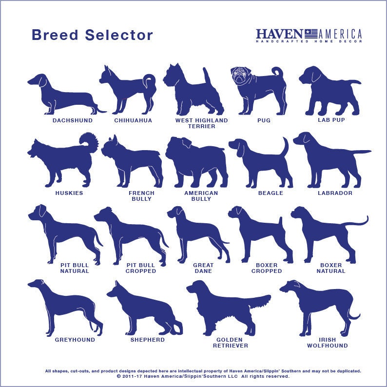May include: A chart with silhouettes of different dog breeds, including Dachshund, Chihuahua, West Highland Terrier, Pug, Lab Pup, Huskies, French Bully, American Bully, Beagle, Labrador, Pit Bull Natural, Pit Bull Cropped, Great Dane, Boxer Cropped, Boxer Natural, Greyhound, Shepherd, Golden Retriever, and Irish Wolfhound. The chart is titled "Breed Selector" and is from Haven America, Handcrafted Home Decor.