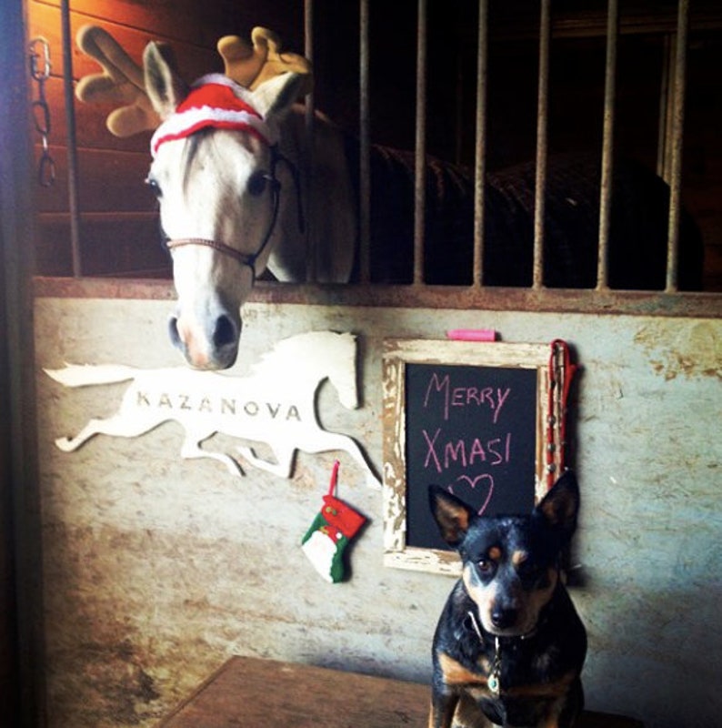 May include: A horse wearing a Santa hat and reindeer antlers stands in a stable with a black and white dog. A wooden sign with the text "Merry XMAS" is on the wall behind the dog. A wooden cutout of a horse with the text "KAZANOVA" is on the wall behind the horse.