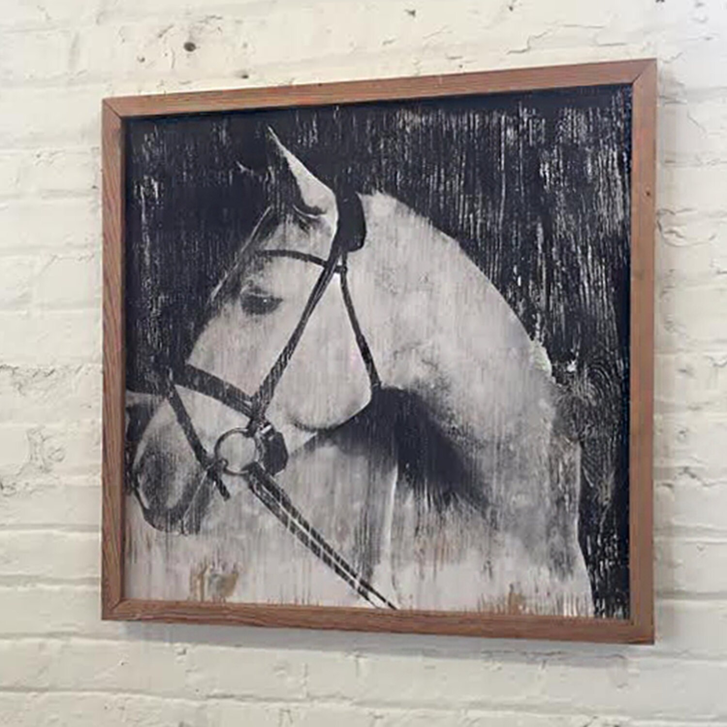 Framed Horse Art Equestrian Decor Horse Decor Handsome White Etsy