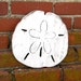 Wooden Sand Dollar Decor Beach House Decor Sea Shell Decor Wood Sand ...